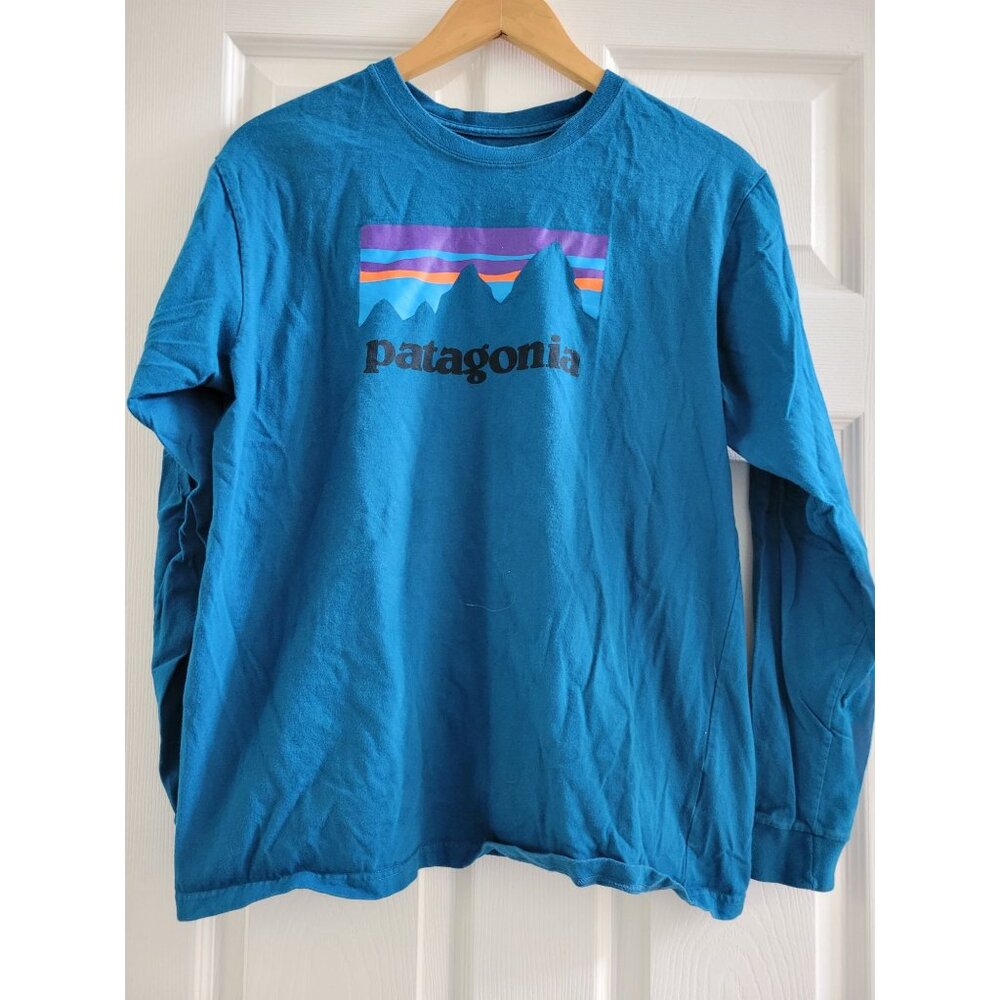 Patagonia Mens Blue long sleeve Tee shirt logo graphic size Medium Outdoor